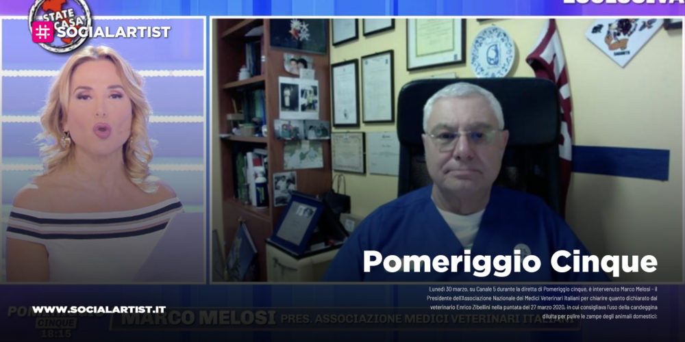 Pomeriggio Cinque, il Presidente dell’Associazione Nazionale dei Medici Veterinari Italiani chirisce quanto dichiarato dal veterinario Enrico Zibellini